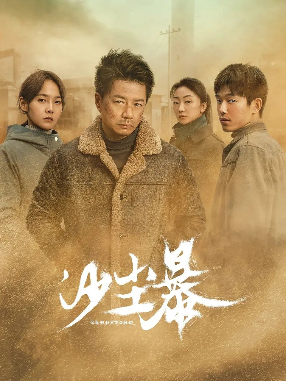 2025年国产电视剧沙尘暴段奕宏主演