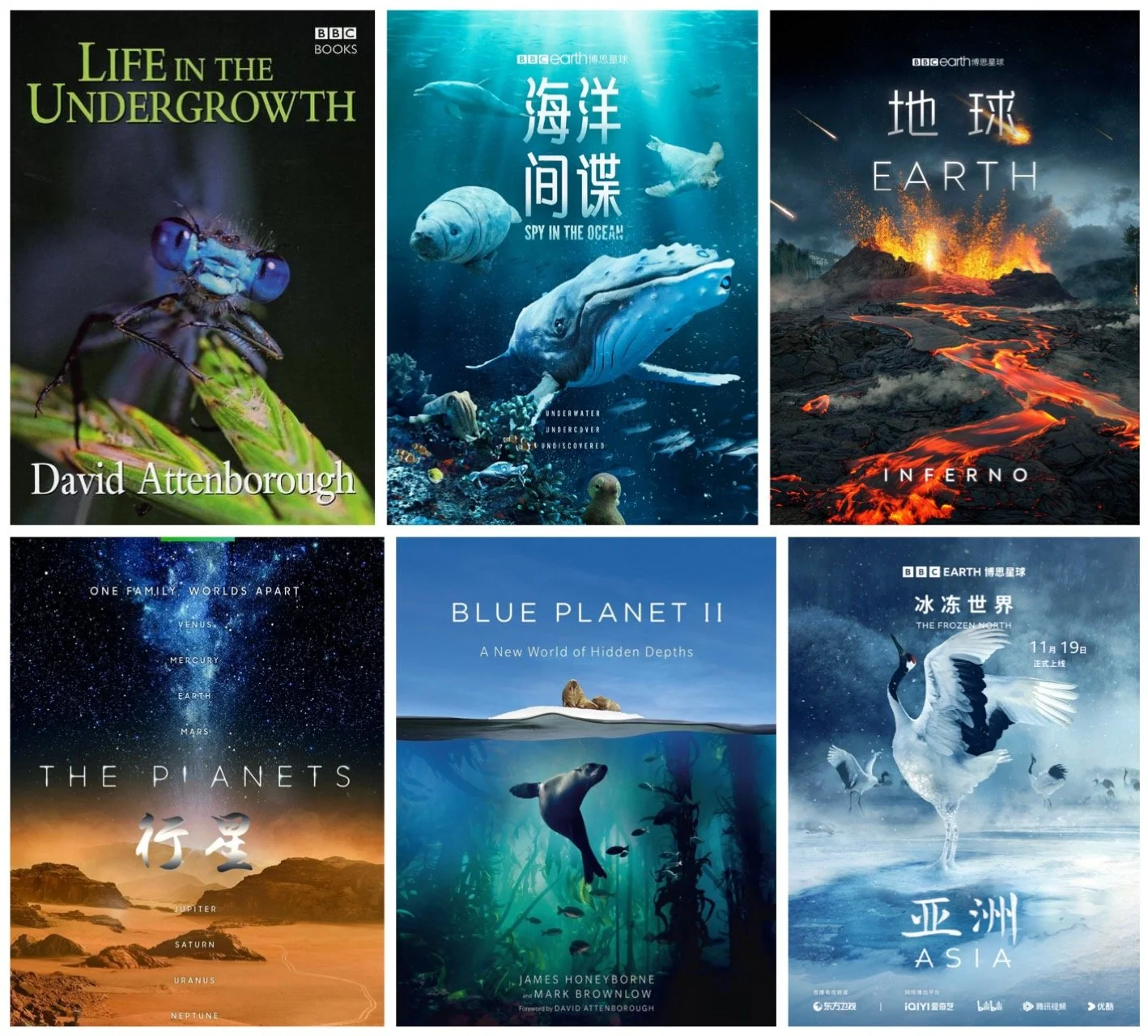 BBC纪录片77部4K高码率合集 内封中英双字幕网盘分享