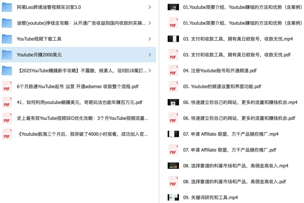 油管YouTube赚钱全攻略 阿蔺Leo跨境实训营3.0全套教程